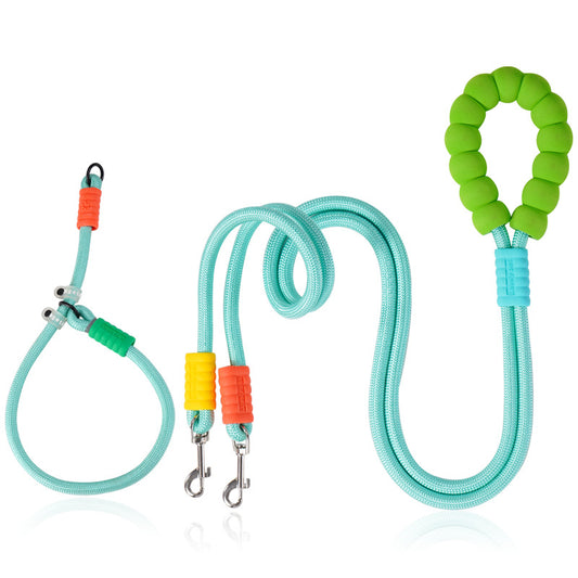 Halsband- und Leinen-Set