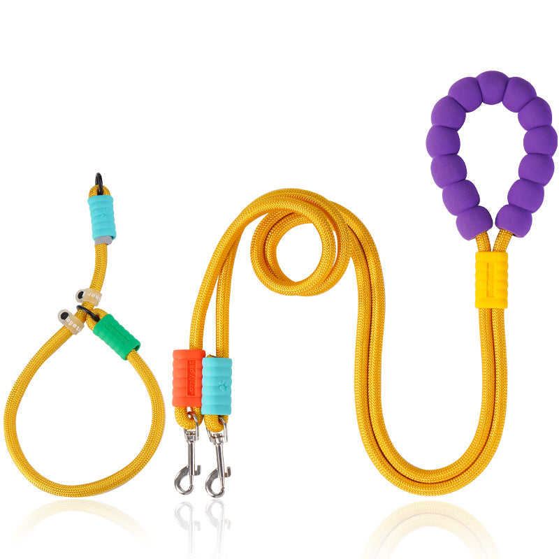 Dog Collar and Leash Set