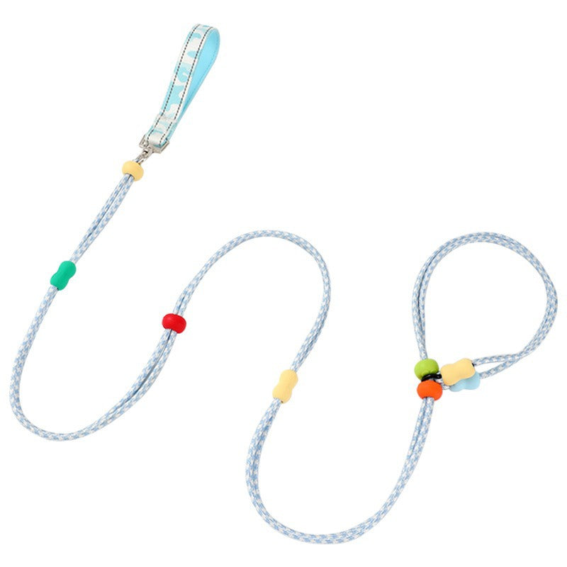 Dog Slip Leash 2m