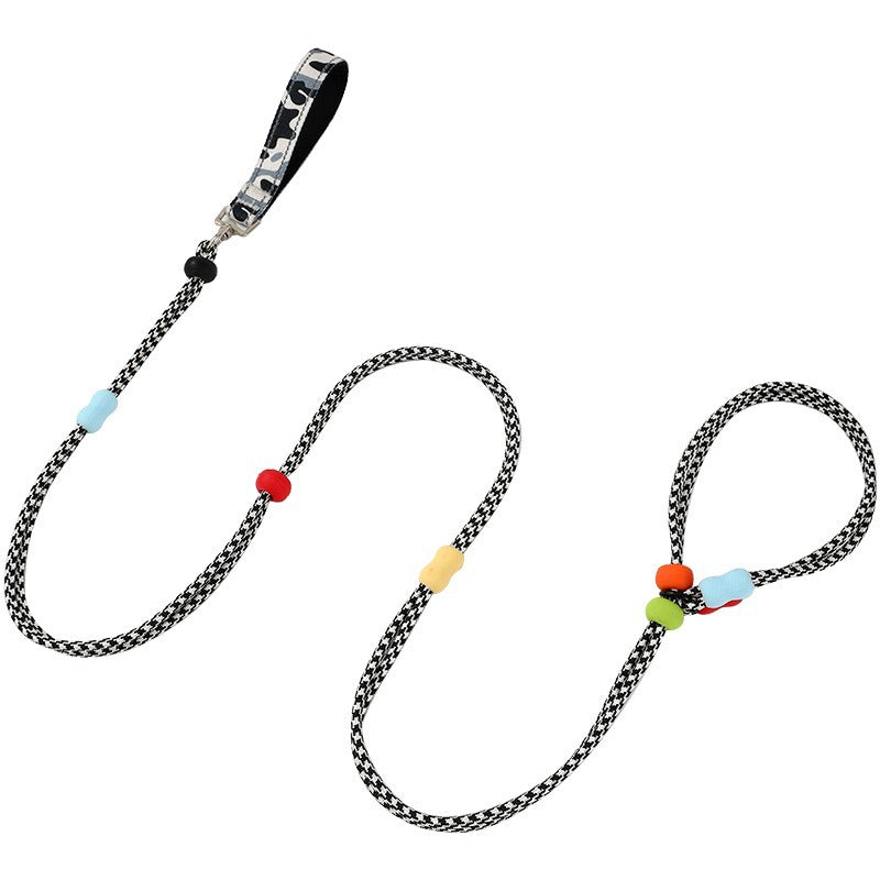 Dog Slip Leash 2m