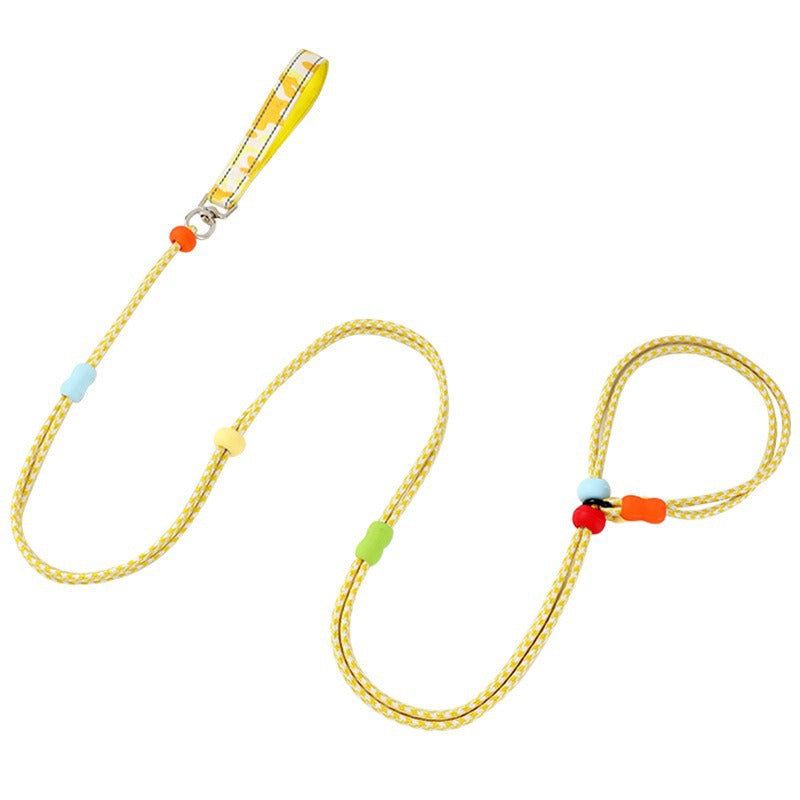 Dog Slip Leash 2m
