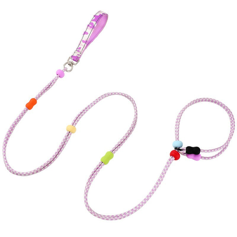 Dog Slip Leash 2m
