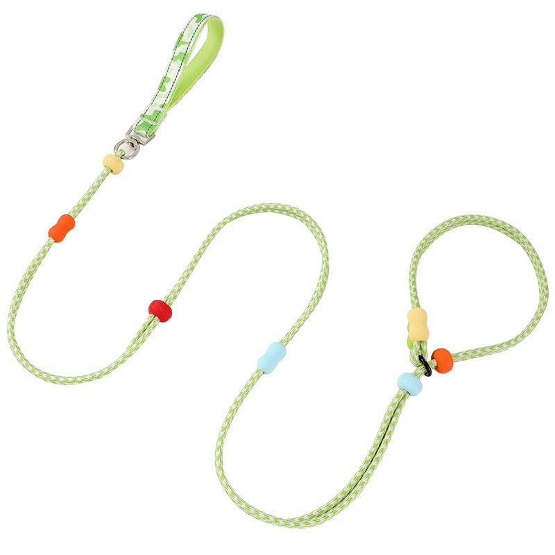 Dog Slip Leash 2m